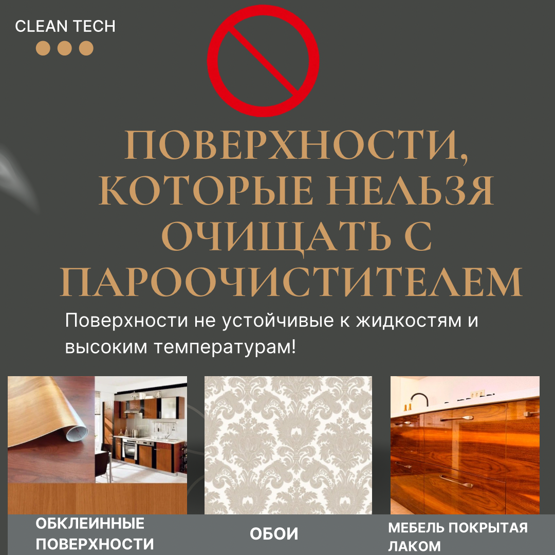 ПАРООЧИСТИТЕЛЬ Clean Tech - Premium